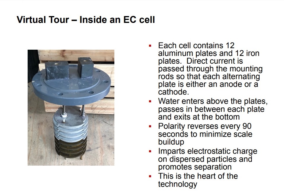 Inside an EC Cell